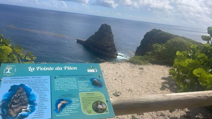 Découvrez les trésors de l'île avec un guide local.
