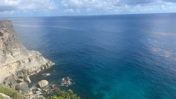 visite guidée en taxi Guadeloupe