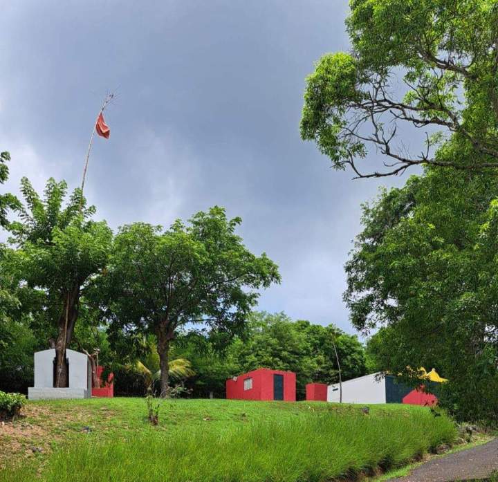visite guidée en taxi Guadeloupe