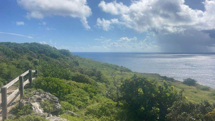 Côte guadeloupéenne avec vue sur la mer