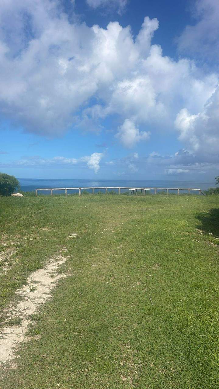 Côte guadeloupéenne avec vue sur la mer