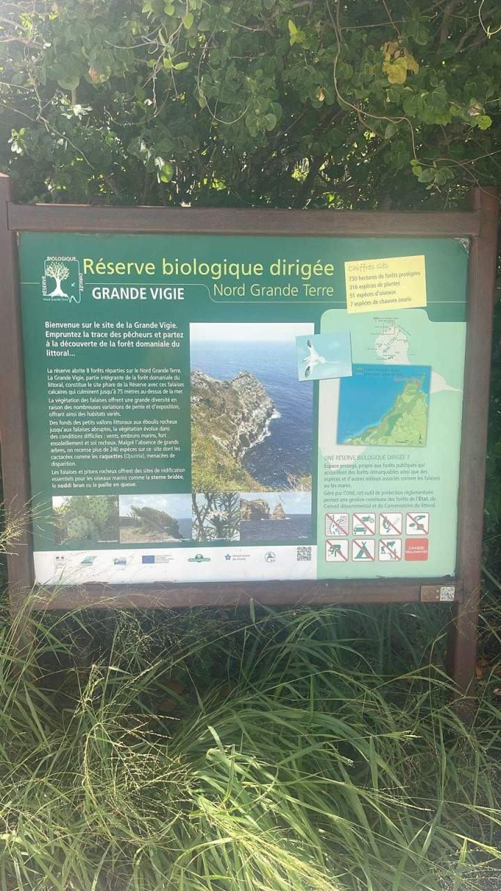 Réserve biologique dirigée Guadeloupe